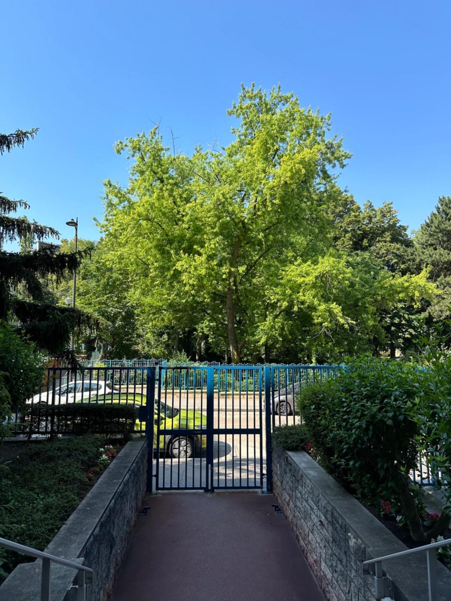 Mobility Lease- Sunny With Large Balcony, Park View At 15 * Paris
