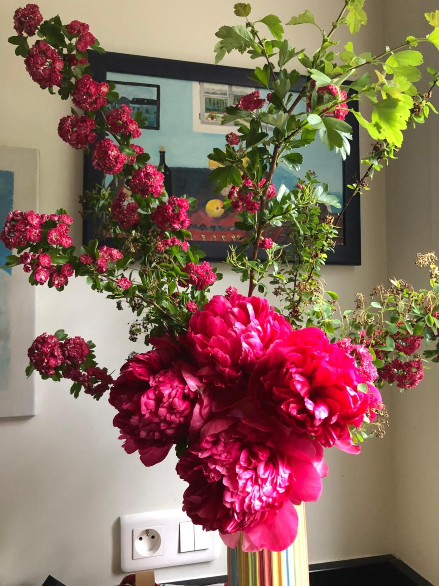 Cosy Et Arty Paris