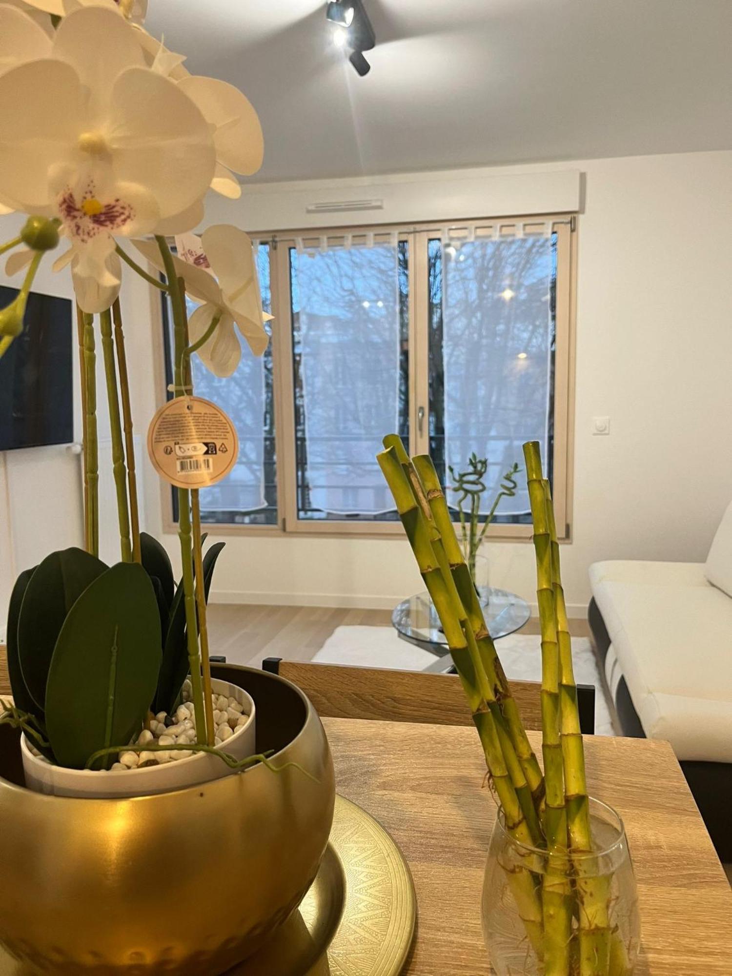 Apartment Seemingly Spacious Modern & Bright Chic *
