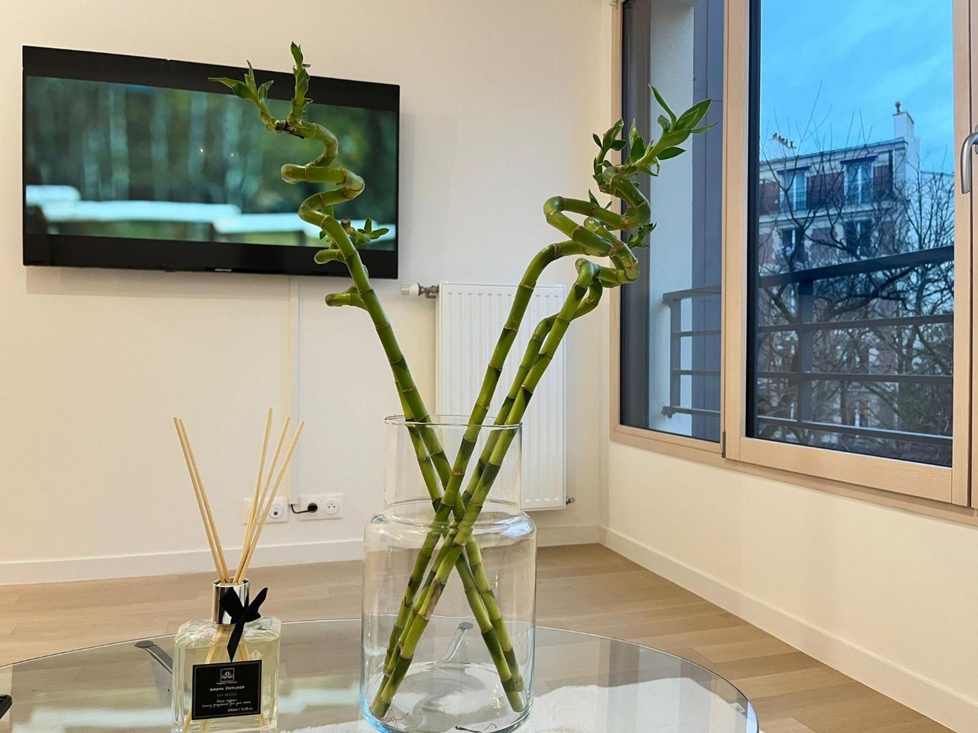 Apartment Seemingly Spacious Modern & Bright Chic Paris