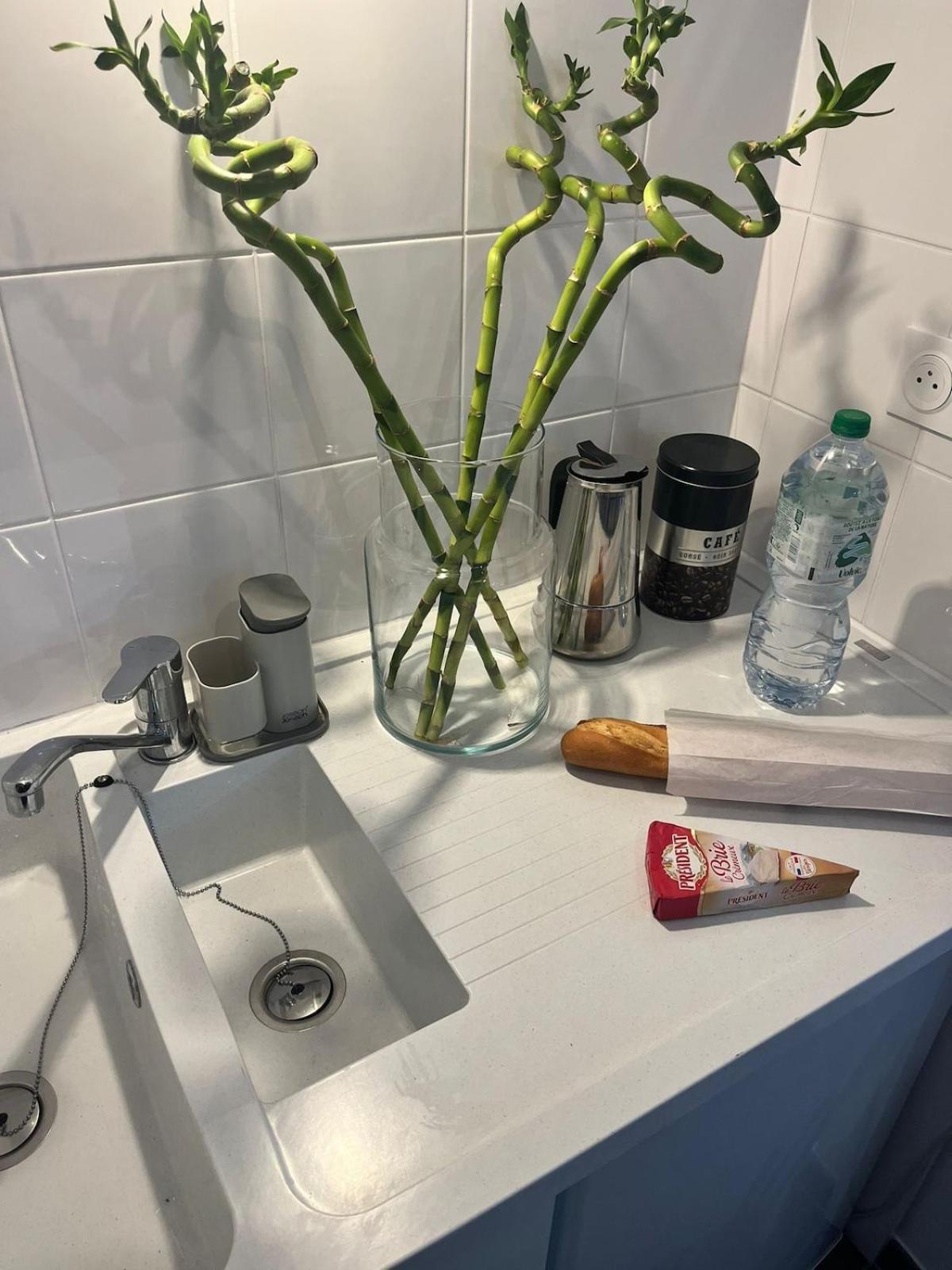 Seemingly Spacious Modern & Bright Chic Apartment Paris