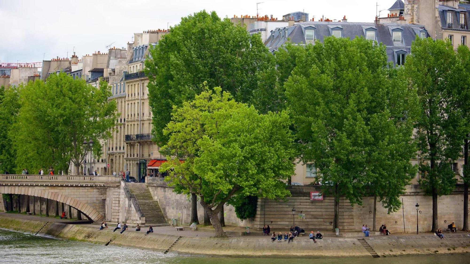 Luxurious In Le Marais Apartment Paris