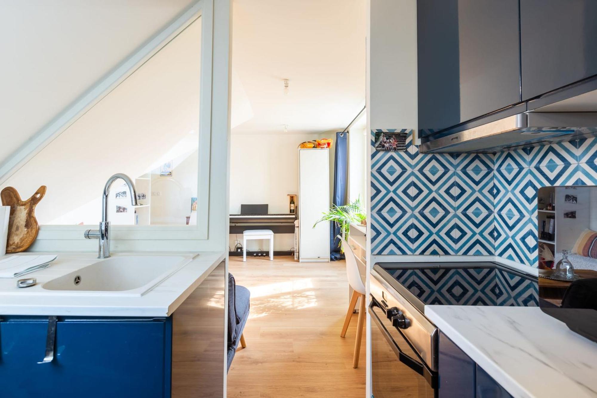 Harmonie Sous Elegance Au Marais Apartment Paris