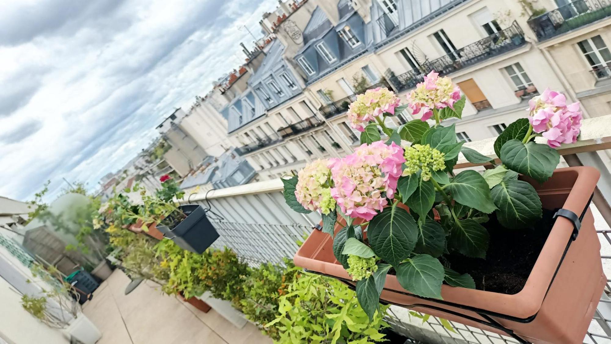 Floor & Terrace With View Apartment Paris