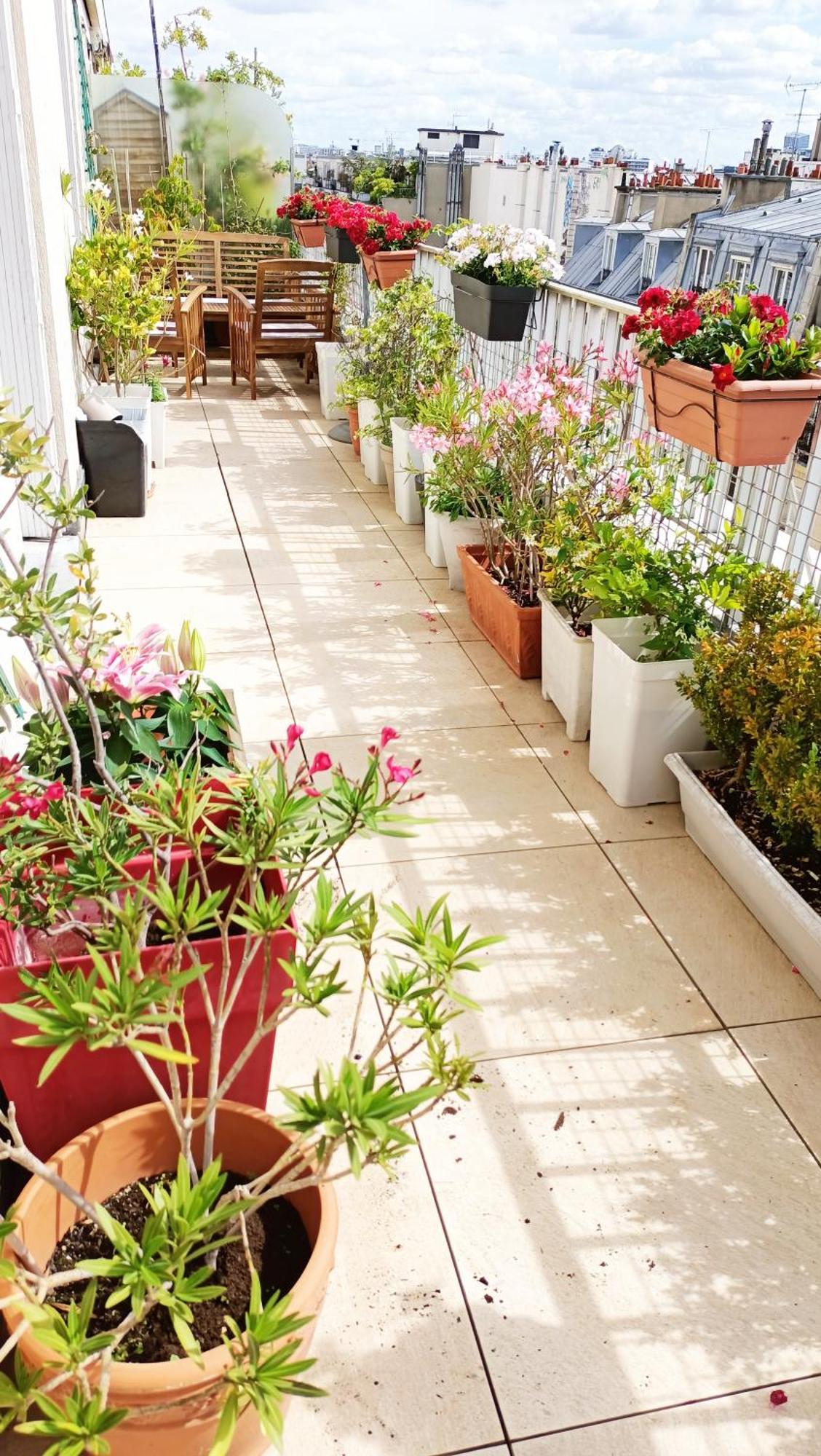 Floor & Terrace With View Apartment Paris