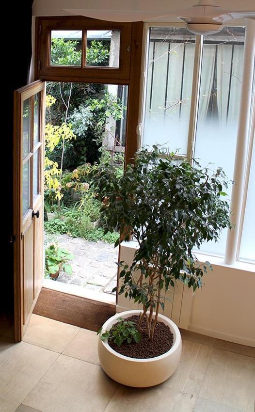 Apartment L'atelier D'artiste *