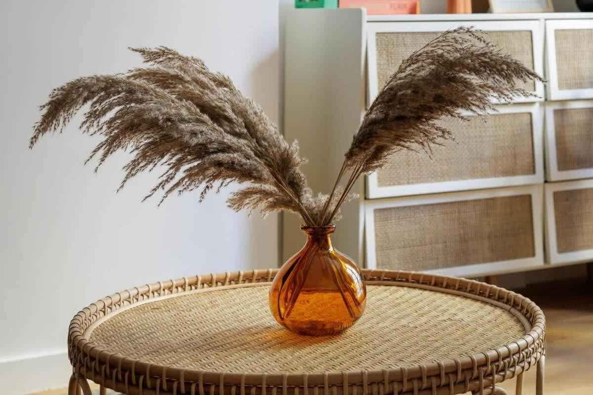 Sereners - Charming Serviced - Saint Germain Paris