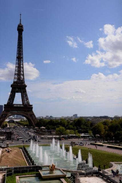 Séjour chez l'habitant Eiffel Tower Oasis 30m From Eiffel Tower *