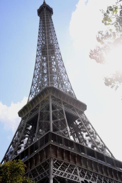 Séjour chez l'habitant Eiffel Tower Oasis 30m From Eiffel Tower Paris