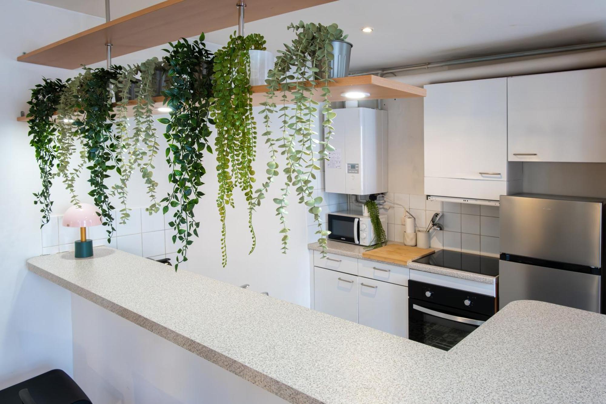 Les Halles Apartment