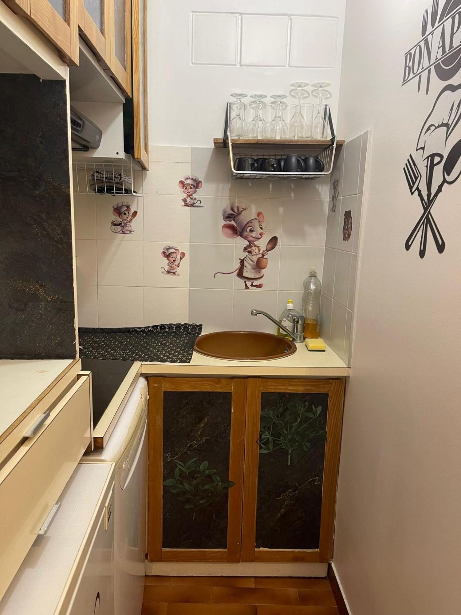 Beau Appartement Paris