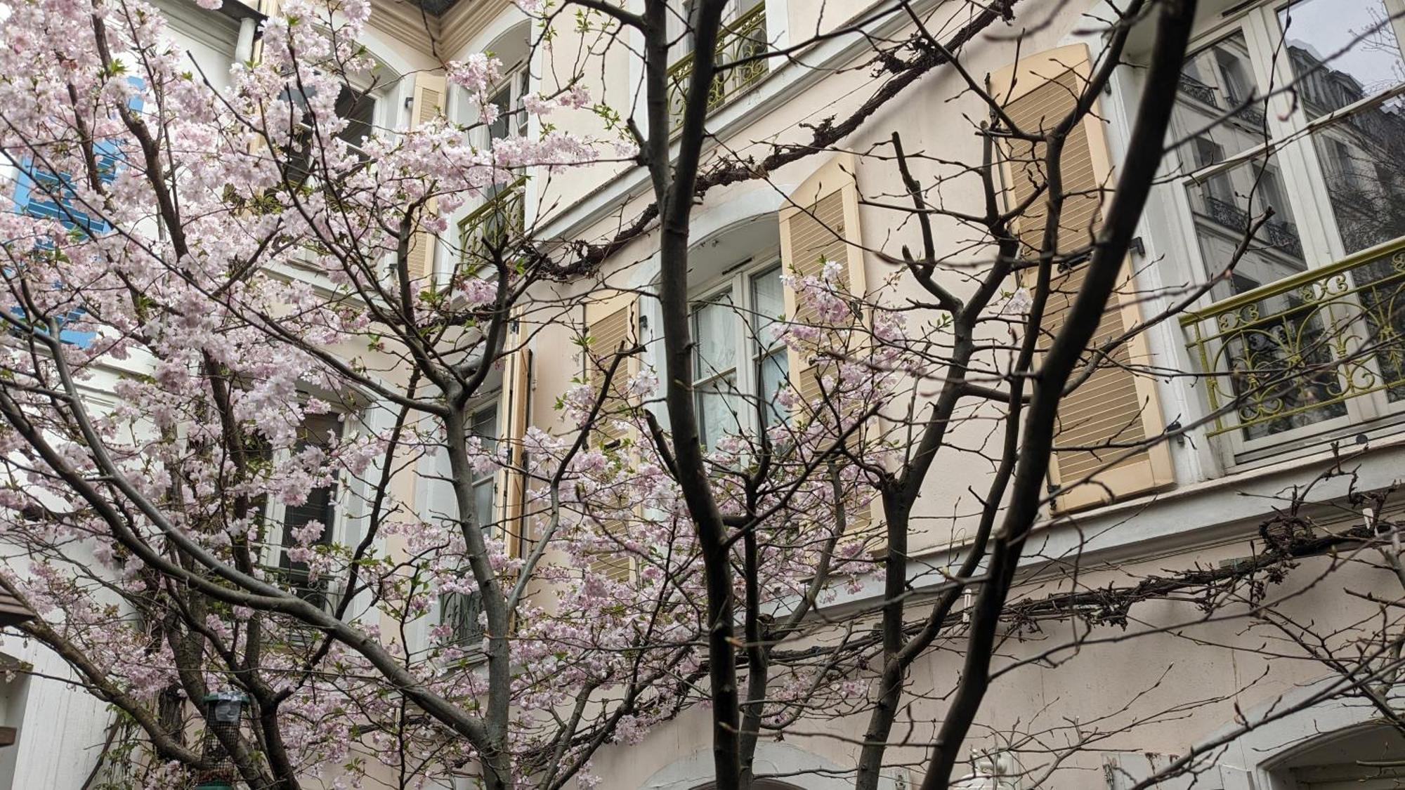 D'hotes Calmes Sur Jardin Batignolles Maison d'hôtes