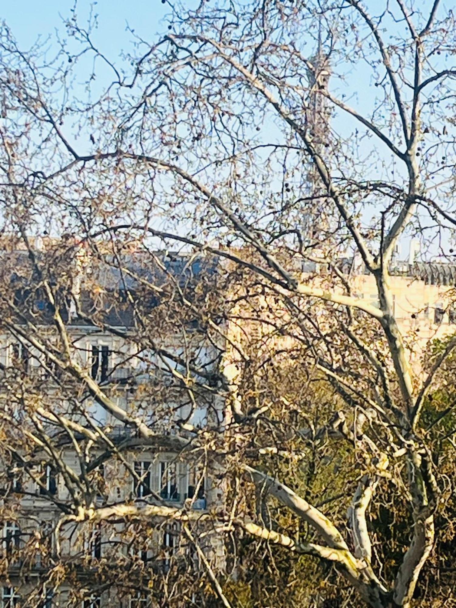 Place Equipe Au Coeur De Avec Vue Sur L'arc De Triomphe Et La Tour Eiffel Homestay *