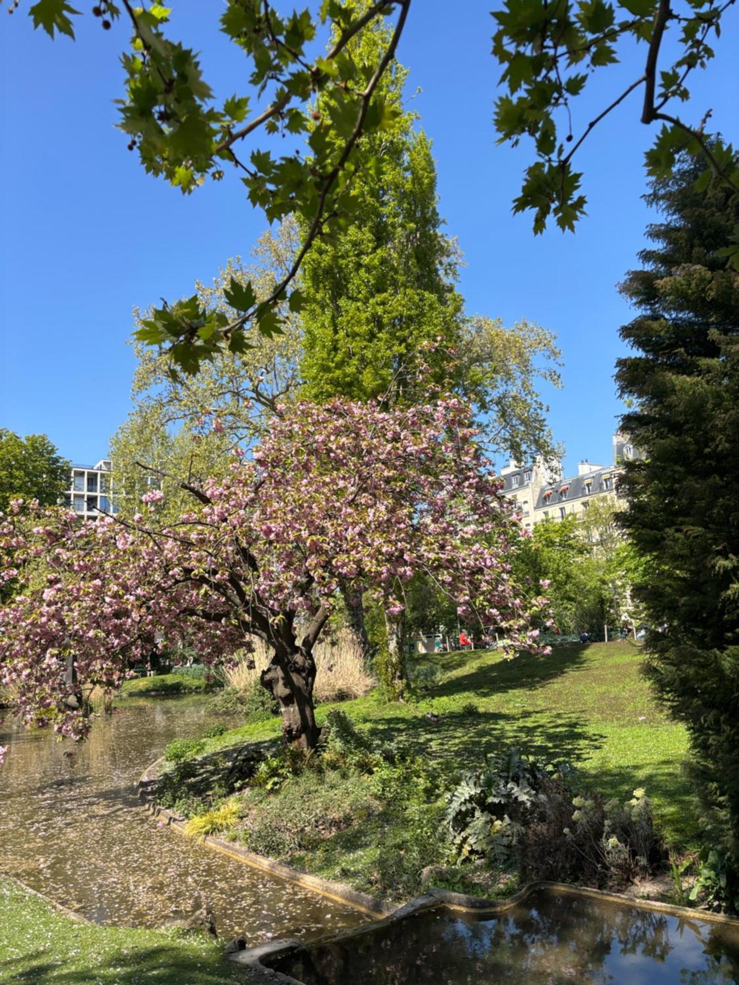 Parisian Cozy Studio: Batignolles Charm Near Landmarks