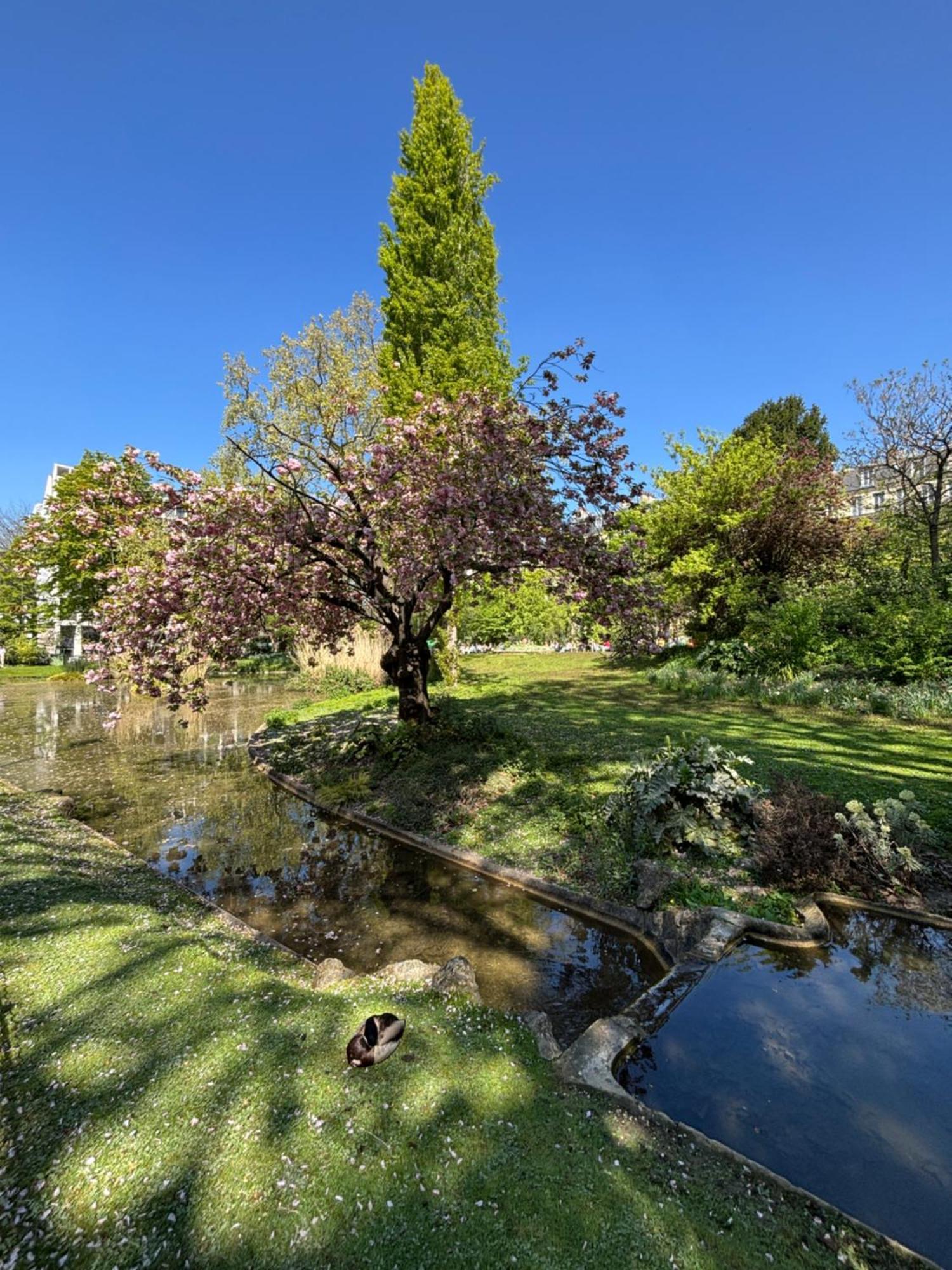 Parisian Cozy Studio: Batignolles Charm Near Landmarks Apartment Paris