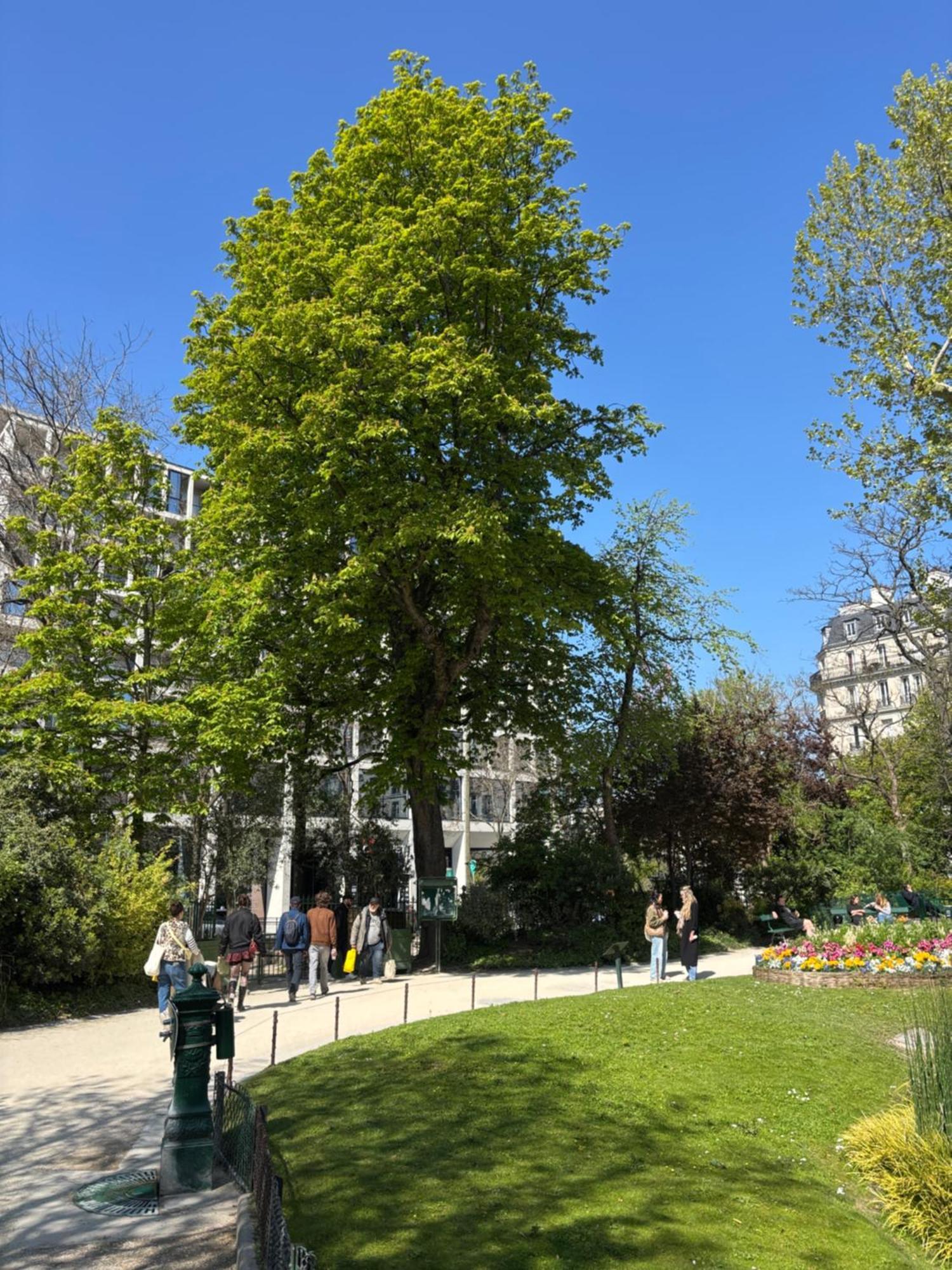 Parisian Cozy Studio: Batignolles Charm Near Landmarks Apartment Paris