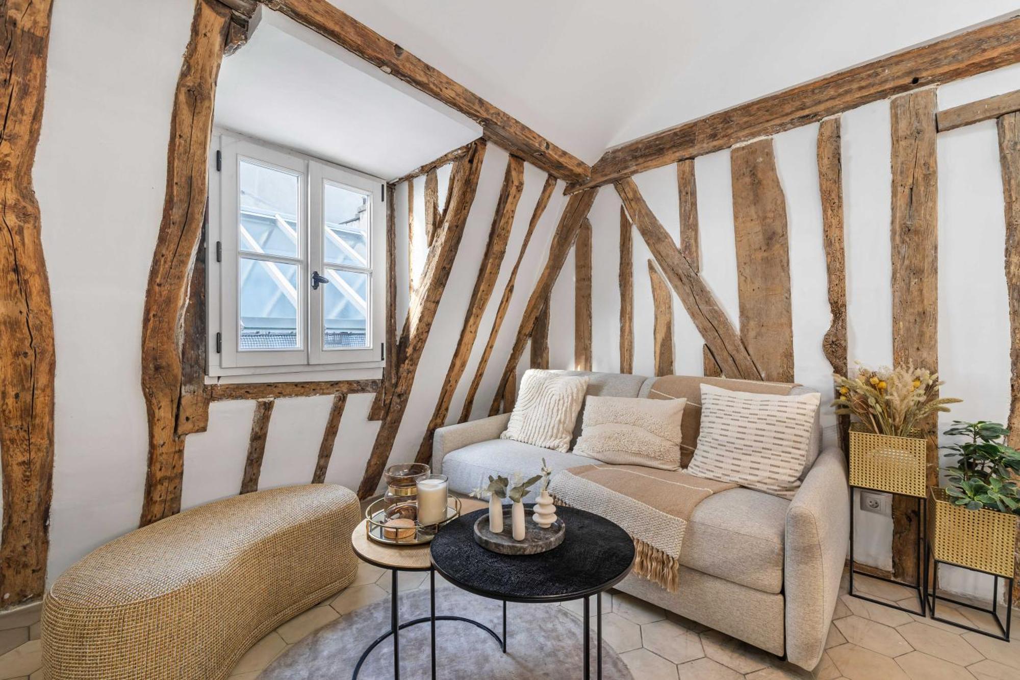 Ultra Historical Parisian Flat - Louvre Paris