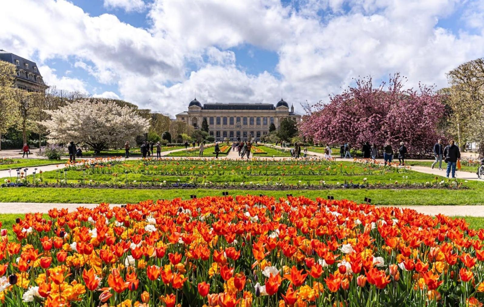 Tres Joli Renove Quartier Notre-dame Jardin Des Plantes Pantheon Pres De La Seine Apartamento Paris