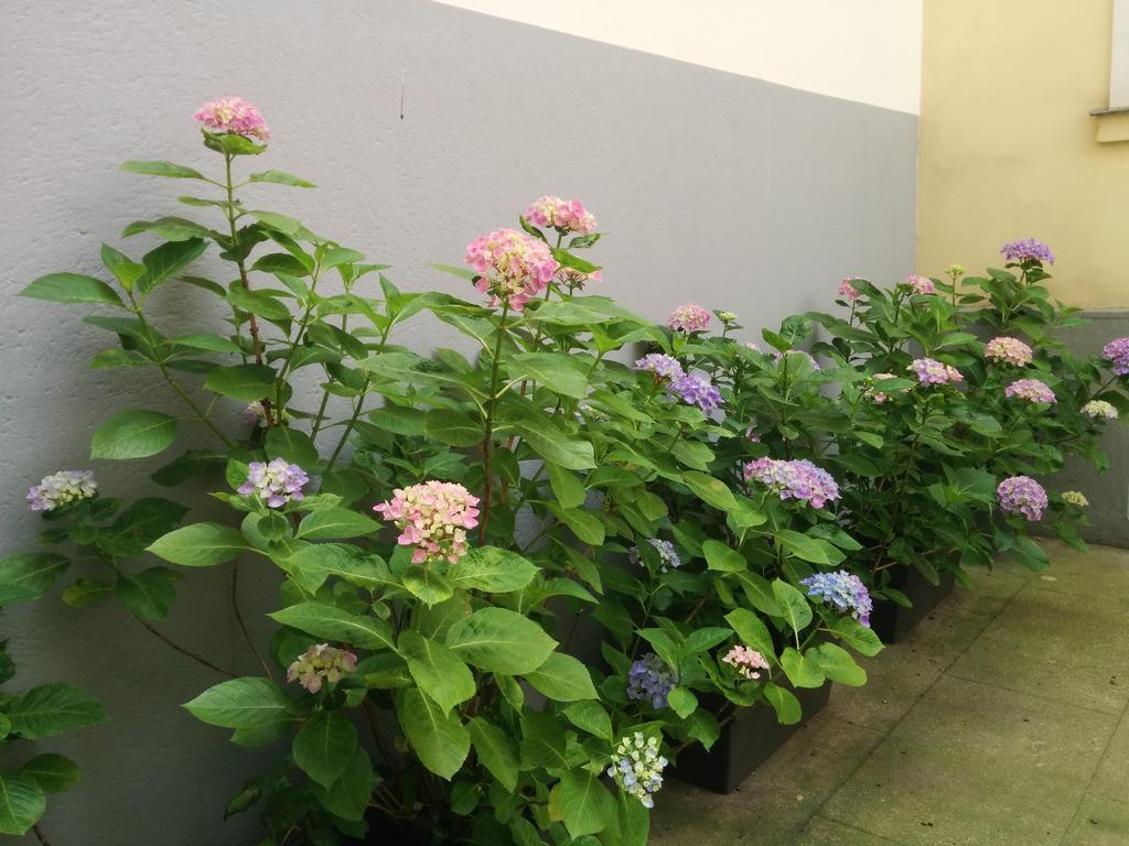La Cour Du 5eme - D'hotes Bed & Breakfast