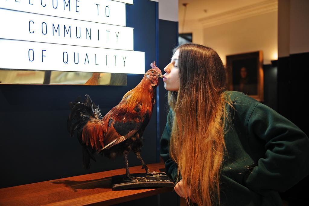 Coq Hotel