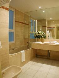 Hotel Bassano Paris