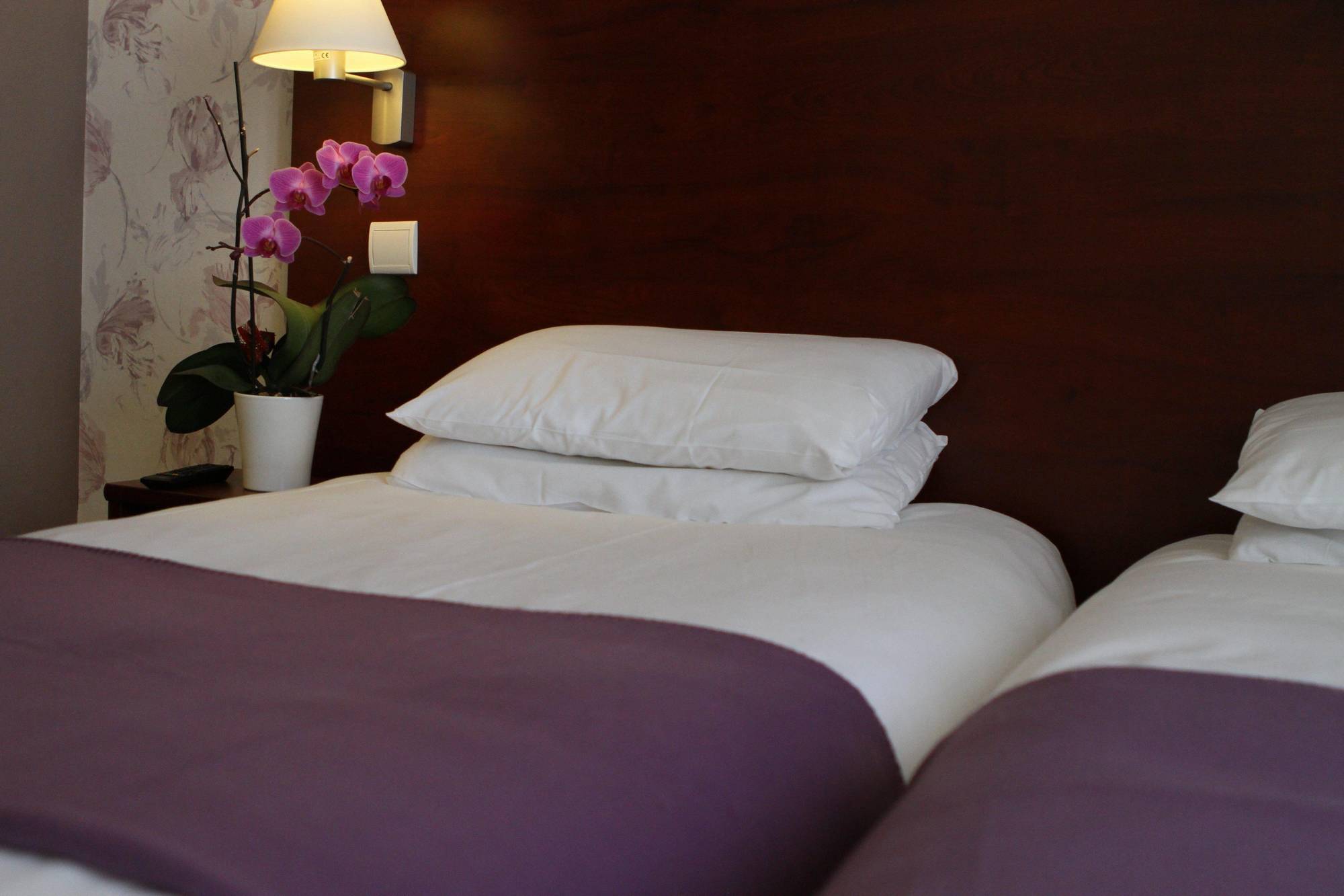 Hotel Alane