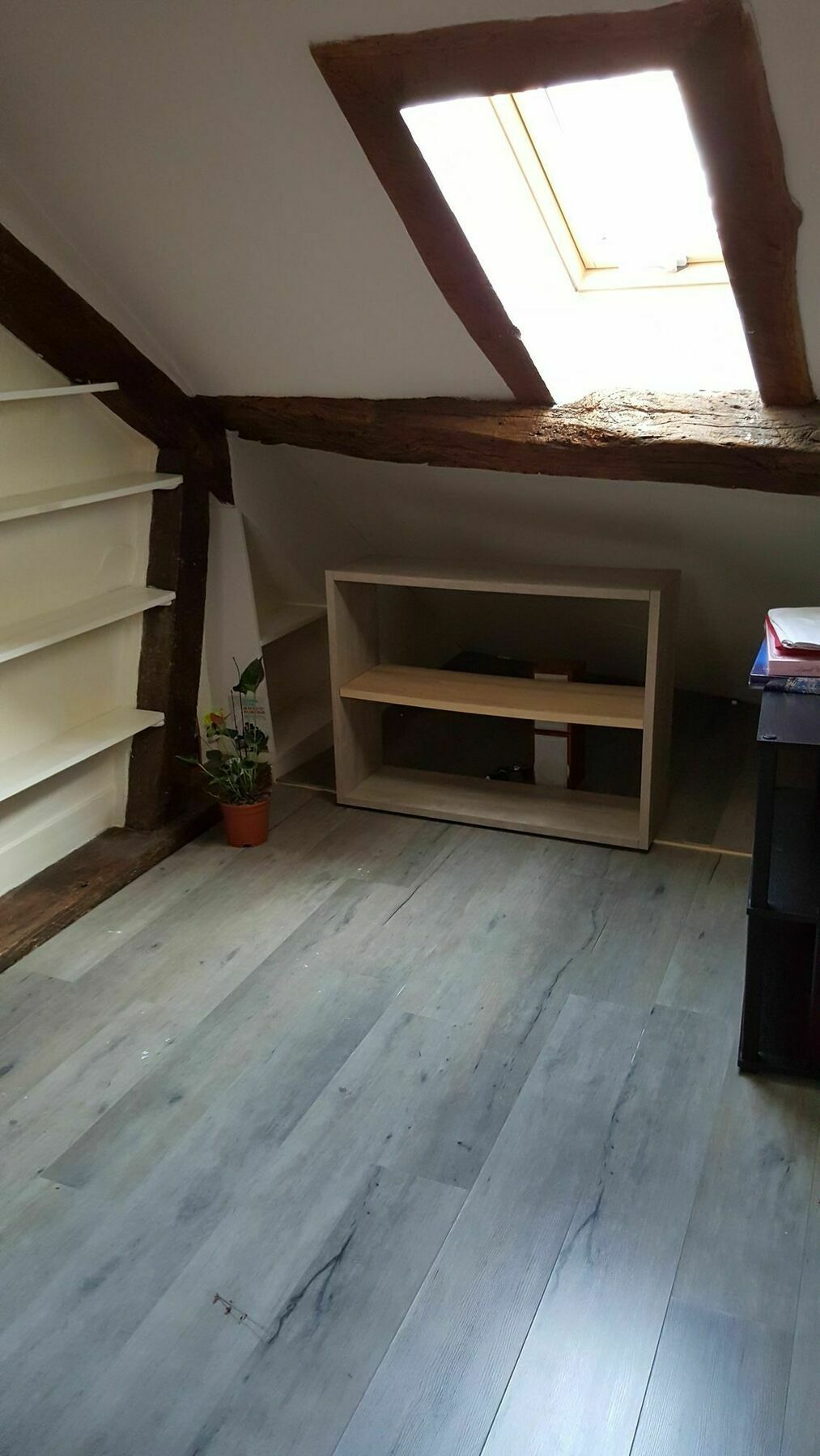 Duplex Notre Dame