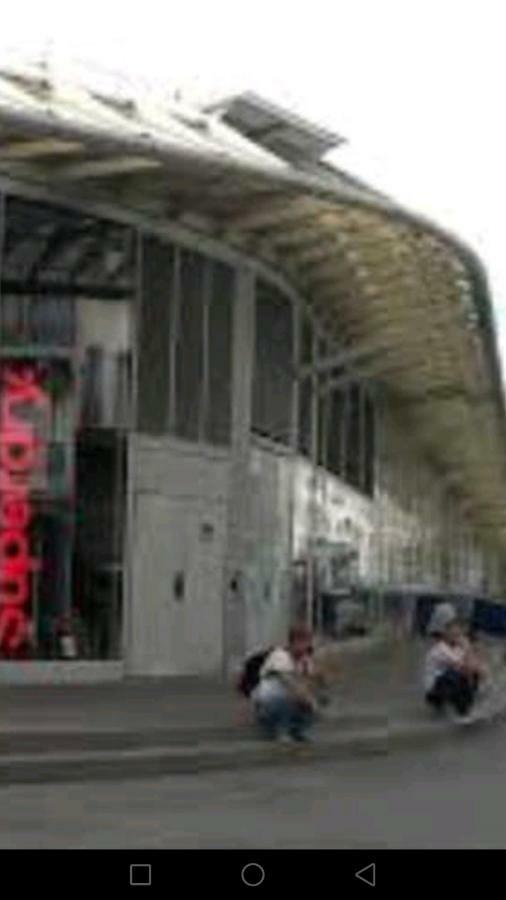 Gogo1 *