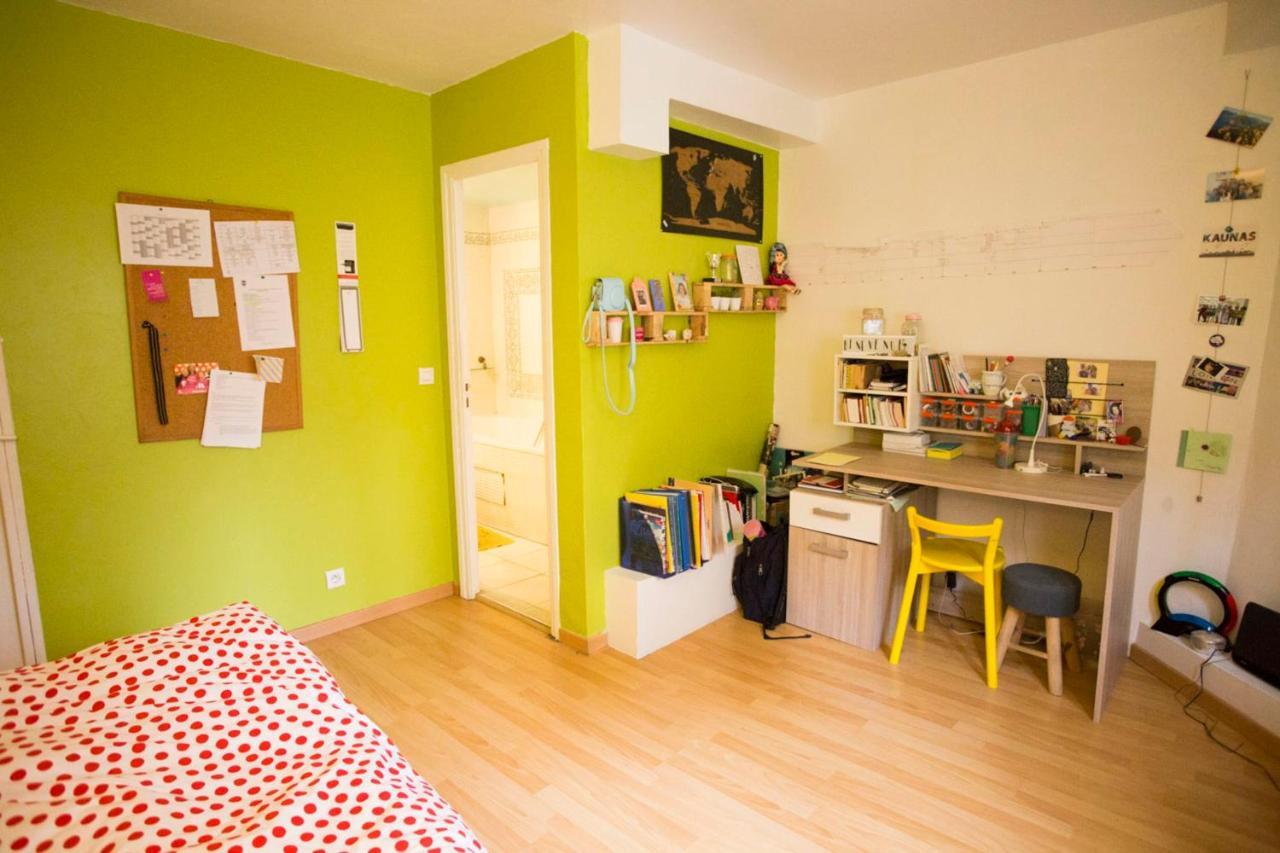 Large Souplex In The 10Th District Of Paris Apartment