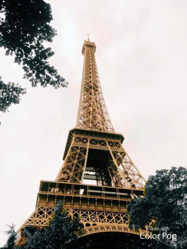 Aparthotel Beatrice Et Emmanuel Meuble Eiffel