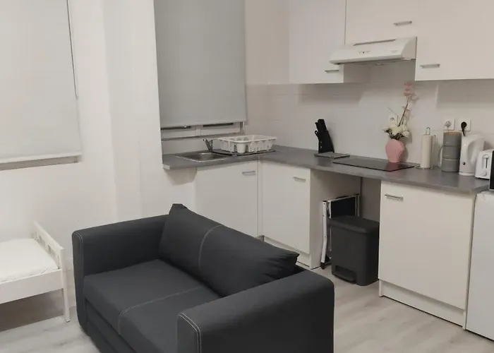 Nice Flat Near Gare Du Nord O Gare Du L Est Free Wi-Fi And Netflix
