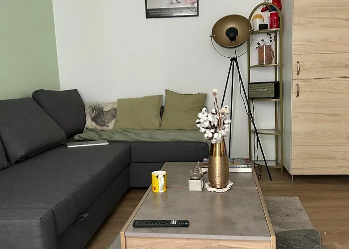 Cozy Appartment In Voltaire
