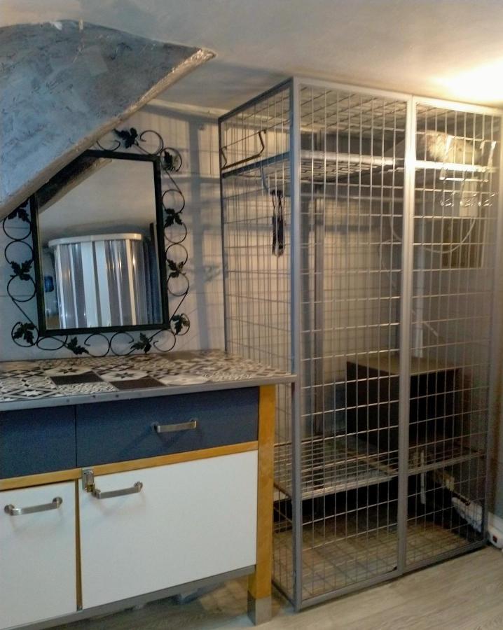 Apartment Au Coeur De Studio