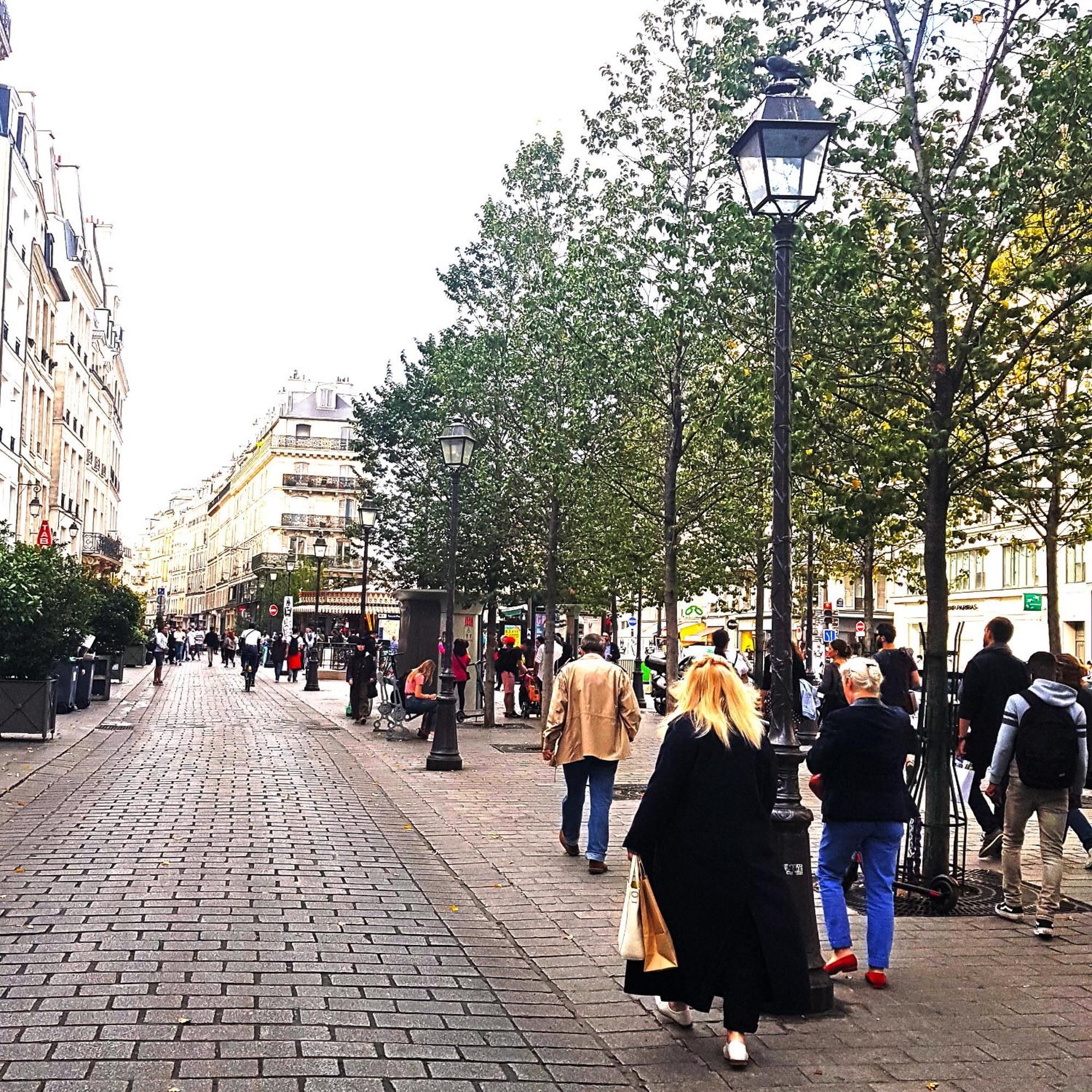 Dans Le Marais 3 Appartement *