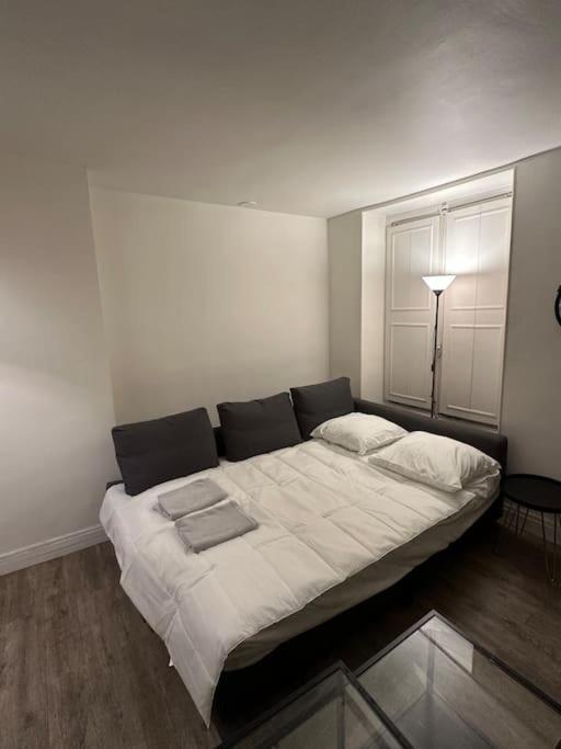 Rue De Vaugirard Apartment