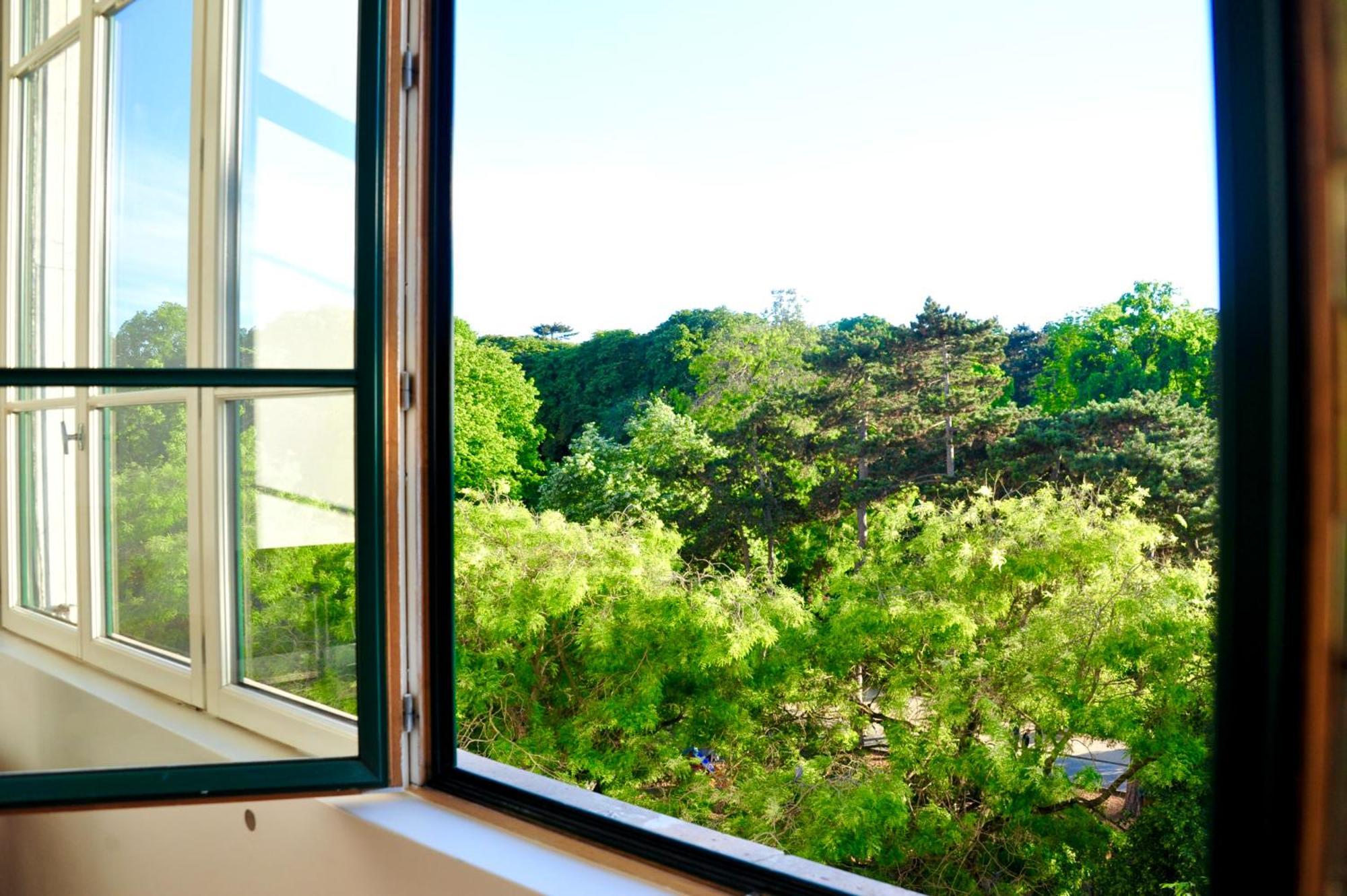 Spacious Loft In With Stunning View *
