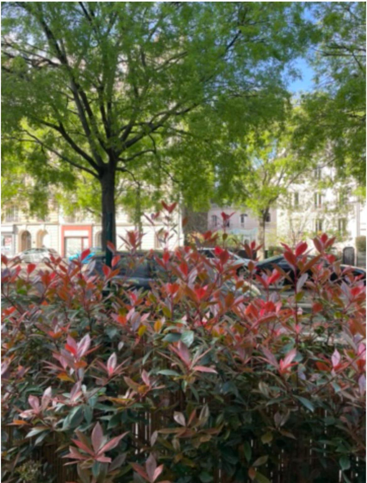 Appartement Avec Beau Jardin
