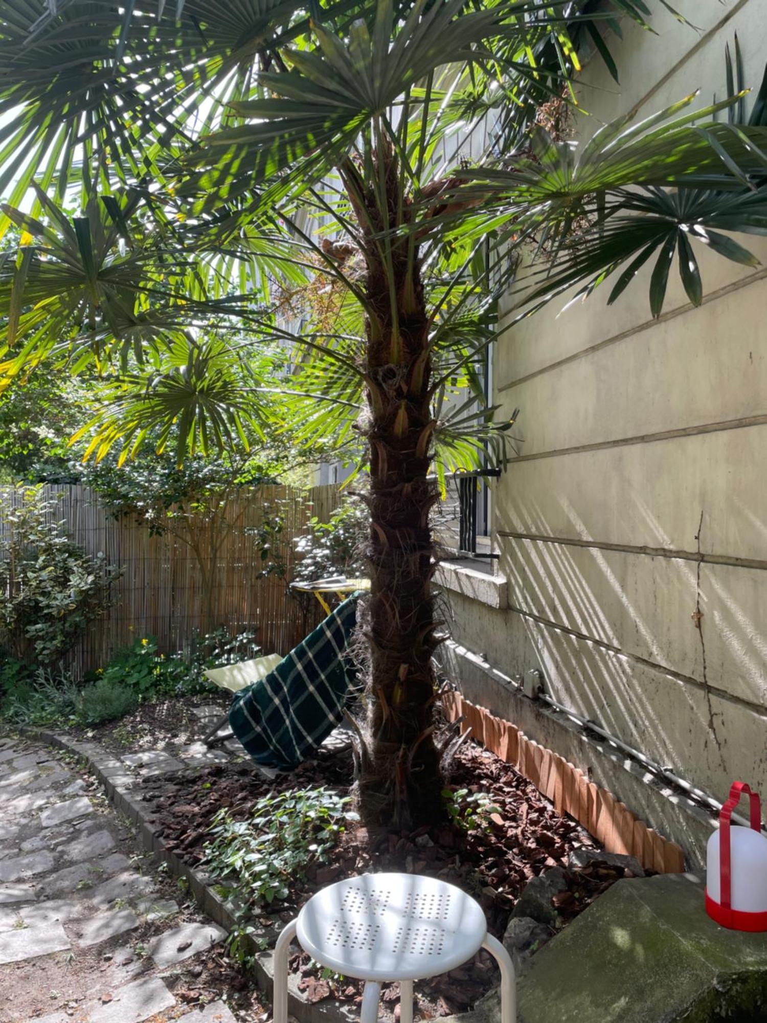 Avec Beau Jardin Appartement *