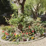 Luxueux Appartement Sur Jardin