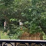 Garden Green