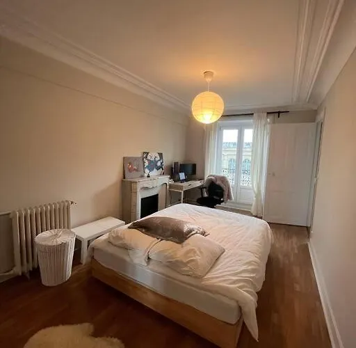 Central Parisian Apartment