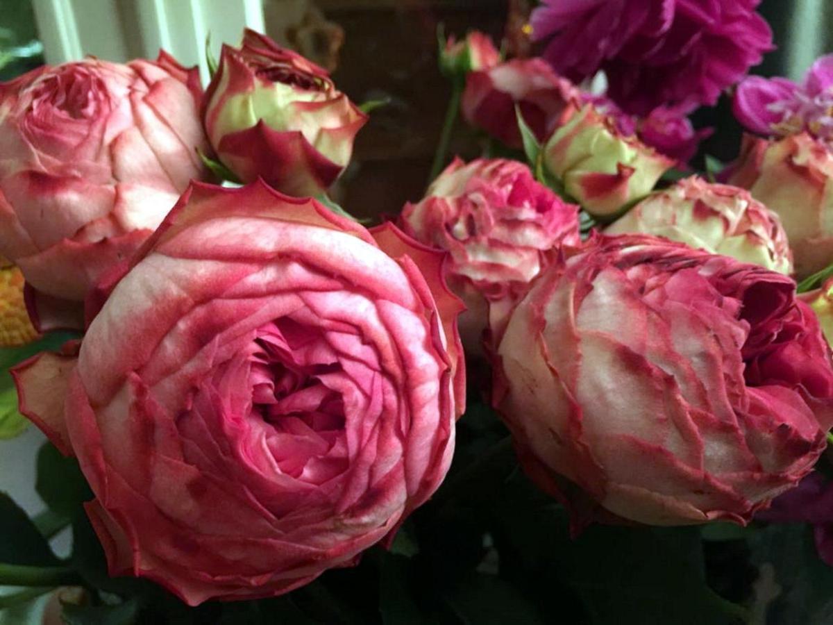 Boutique De La Place Des Vosges 3* Paris