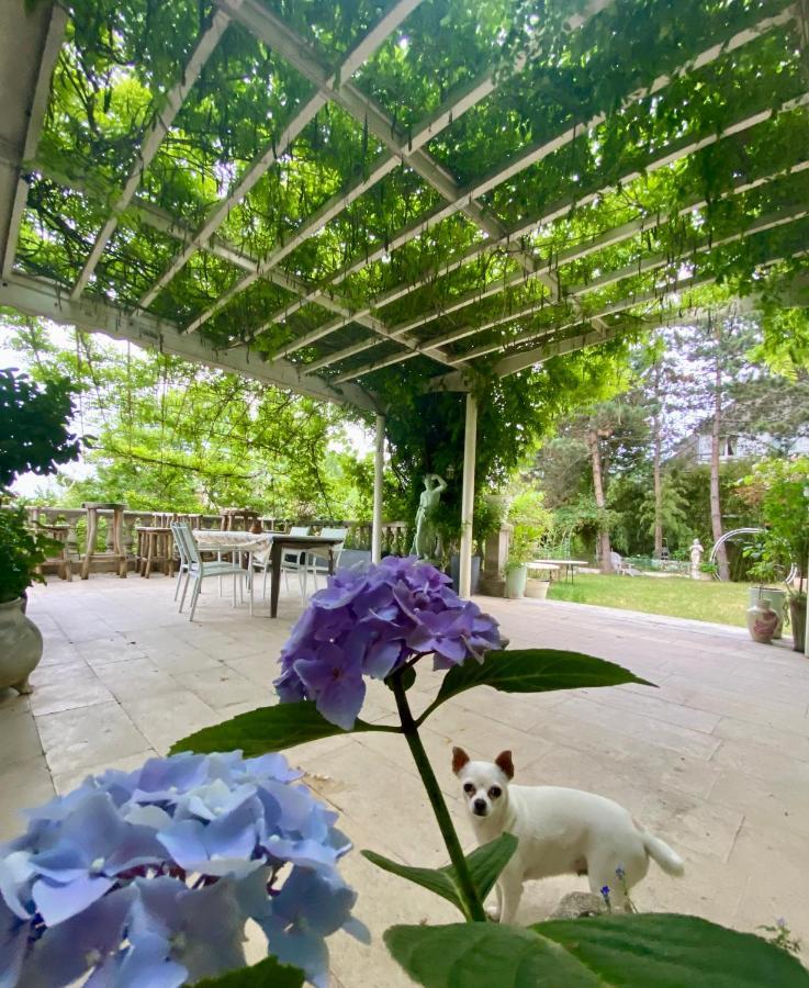 Homestay Ananda Huo Paris