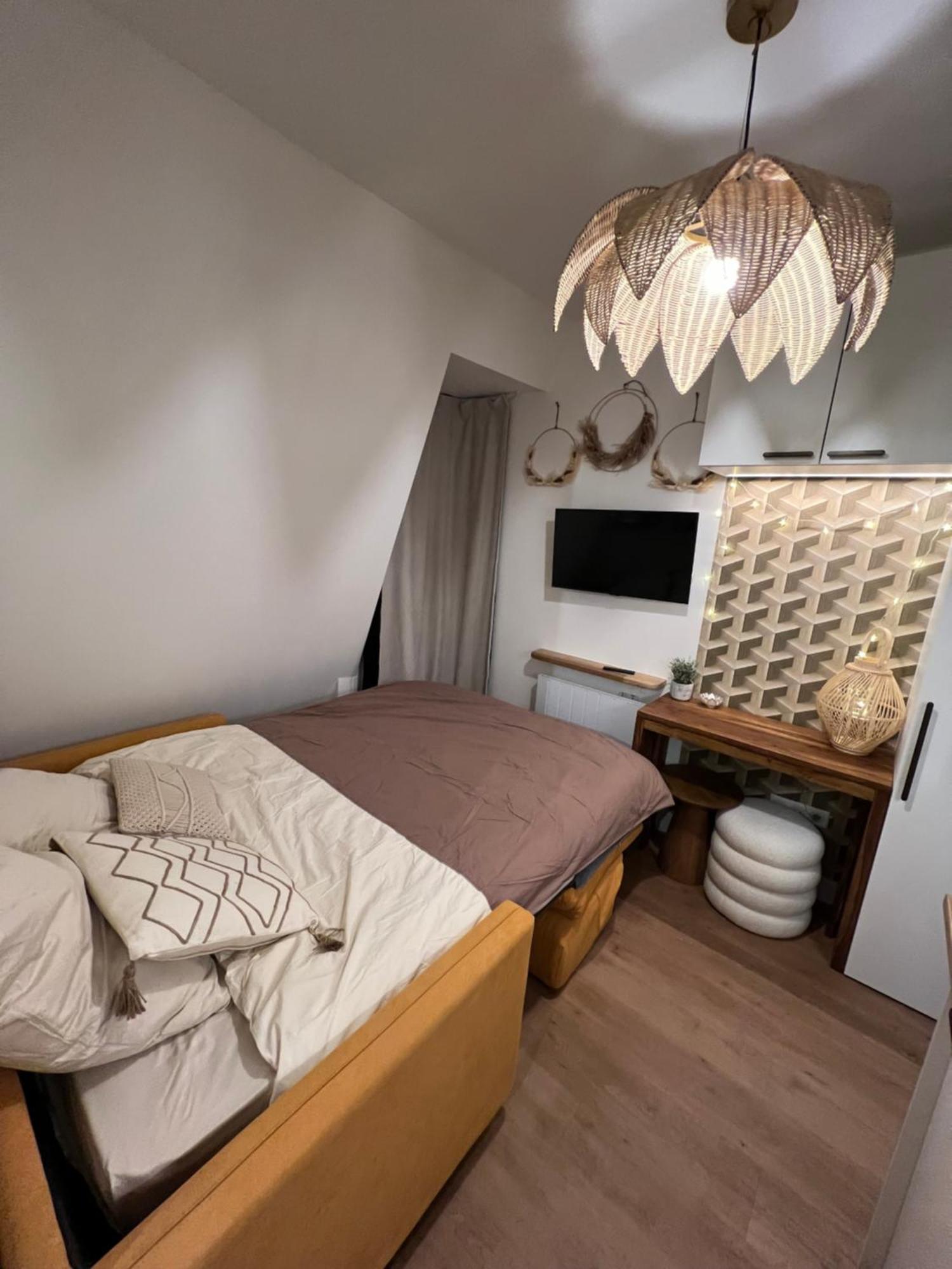 With Fabulous View On Roofs Homestay Paris