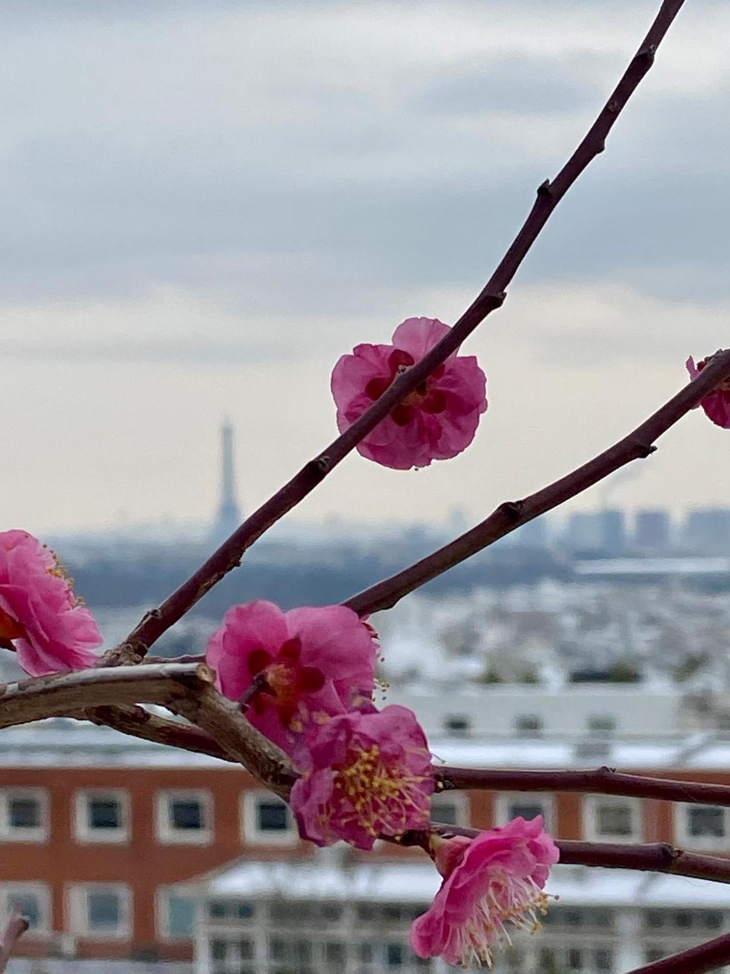 Ananda Huo Homestay Paris