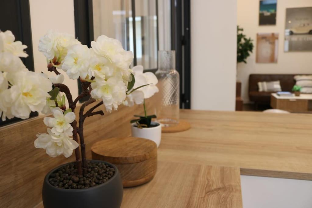 Apartment Cosy 2 / Pere-lachaise *