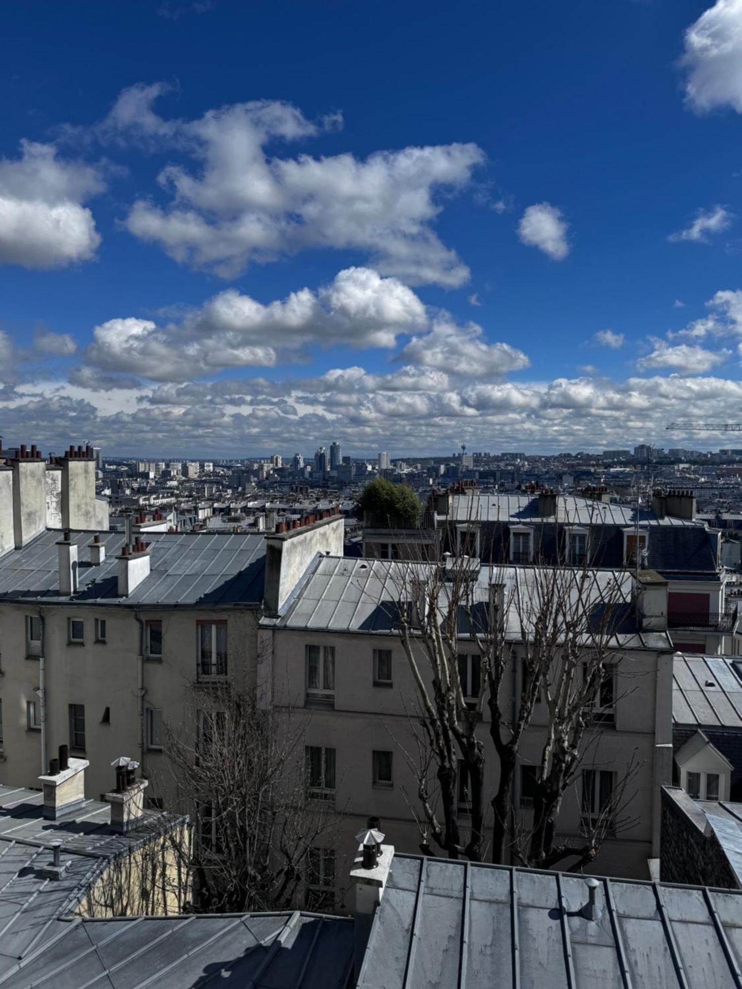 Spacieux A 50m Du Sacre Coeur - Magnifique Vue Apartment