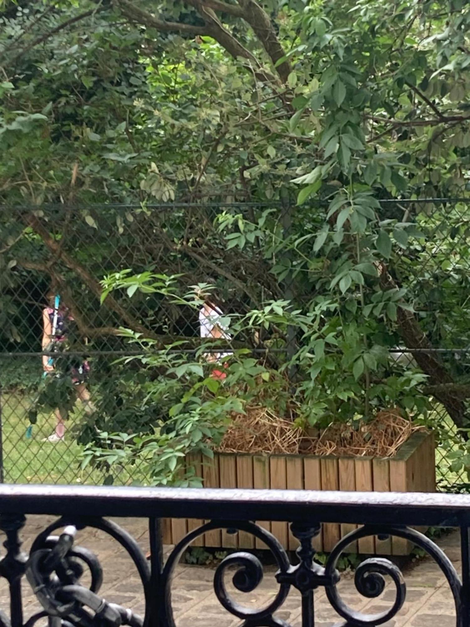 Garden Paris