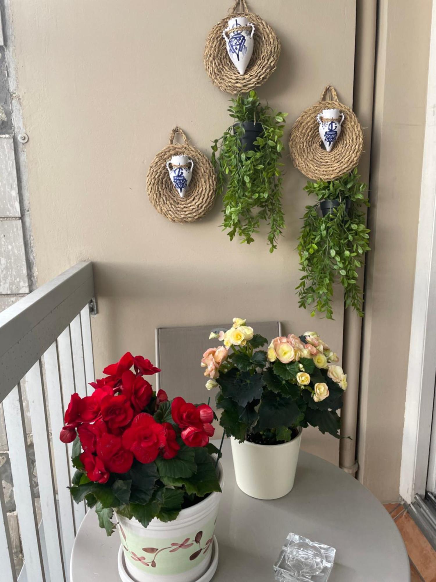 Avec Salle De Bain A Partager - Homestay *