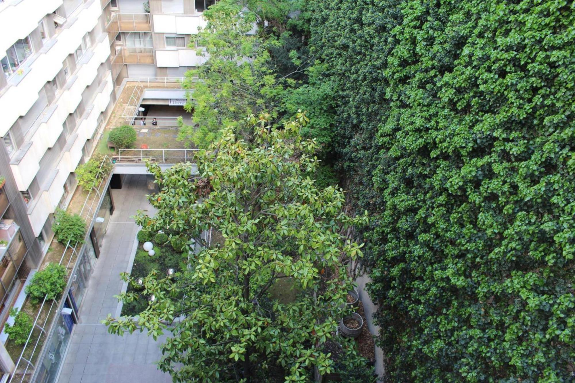 Short Apartamento Paris